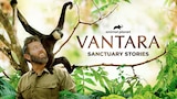 Vantara: Sanctuary Stories