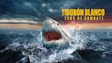 Tiburón blanco: zona de combate