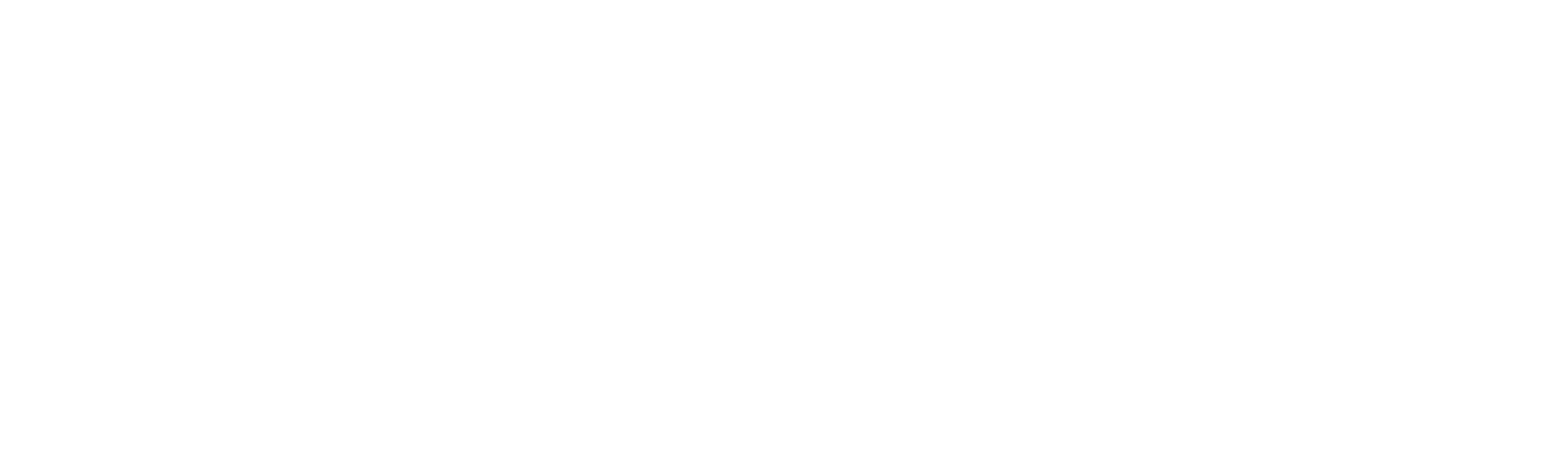 Legături invizibile: Talentatele surori Pusker