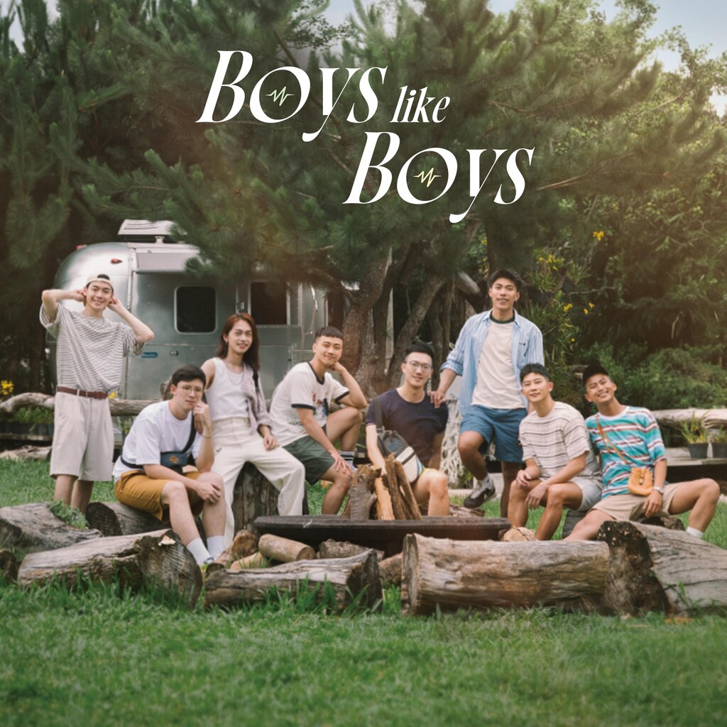 Boys Like Boys