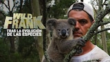 Wild Frank: Tras la evolución de las especies