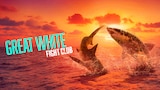 Great White Fight Club
