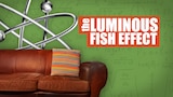 "The Luminous Fish Effect" With Dave Goetsch