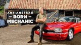 Ant Anstead: Born Mechanic