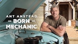 Ant Anstead: Born Mechanic