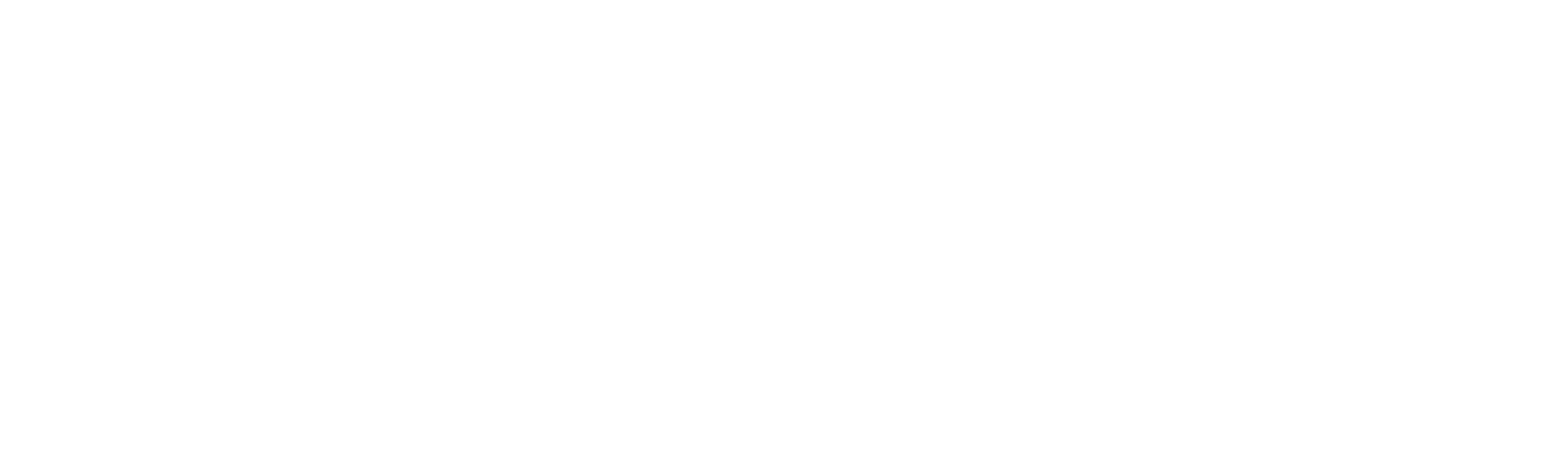 Wywiad ze Słońcem Narodu