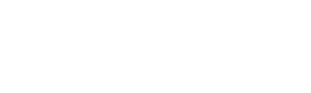 Vida Nova, Carro Novo