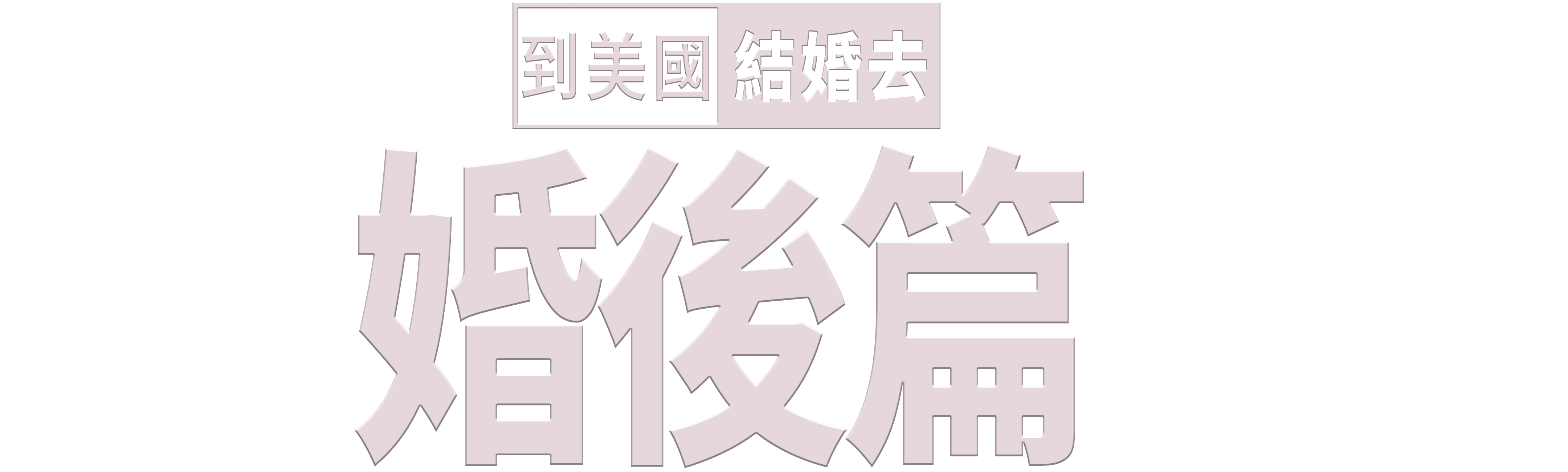 到美國結婚去婚後篇