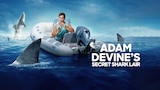 Adam Devine's Secret Shark Lair