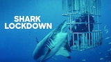 Shark Lockdown