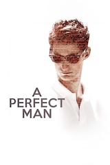 Un homme idéal