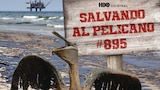 Salvando al Pelícano 895