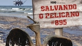 Salvando o Pelicano 895