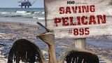 Saving Pelican 895