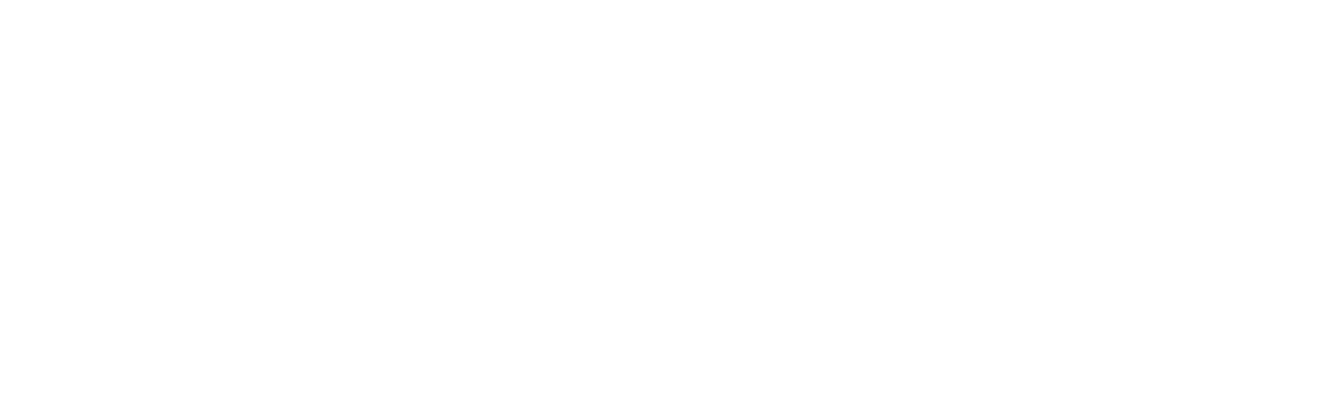 The Christmas Promise