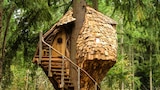 Treehive Beehive