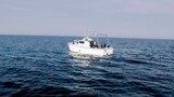 Shipwreck of Nazi Treasure