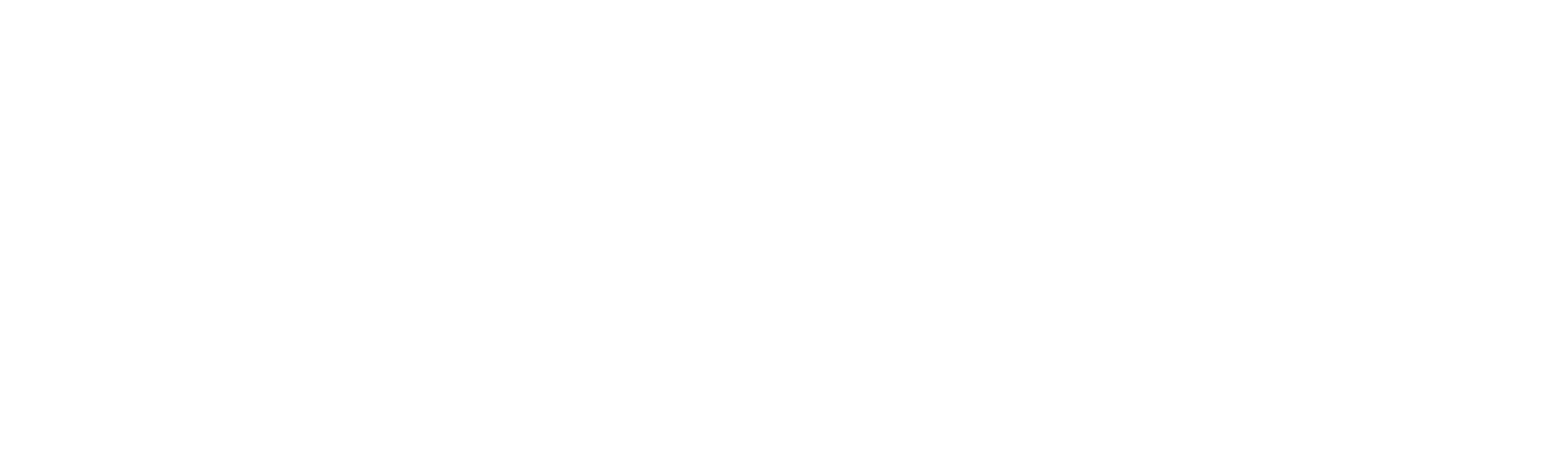 Persona