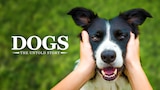 Dogs: The Untold Story
