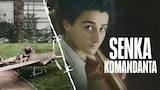 Senka komandanta