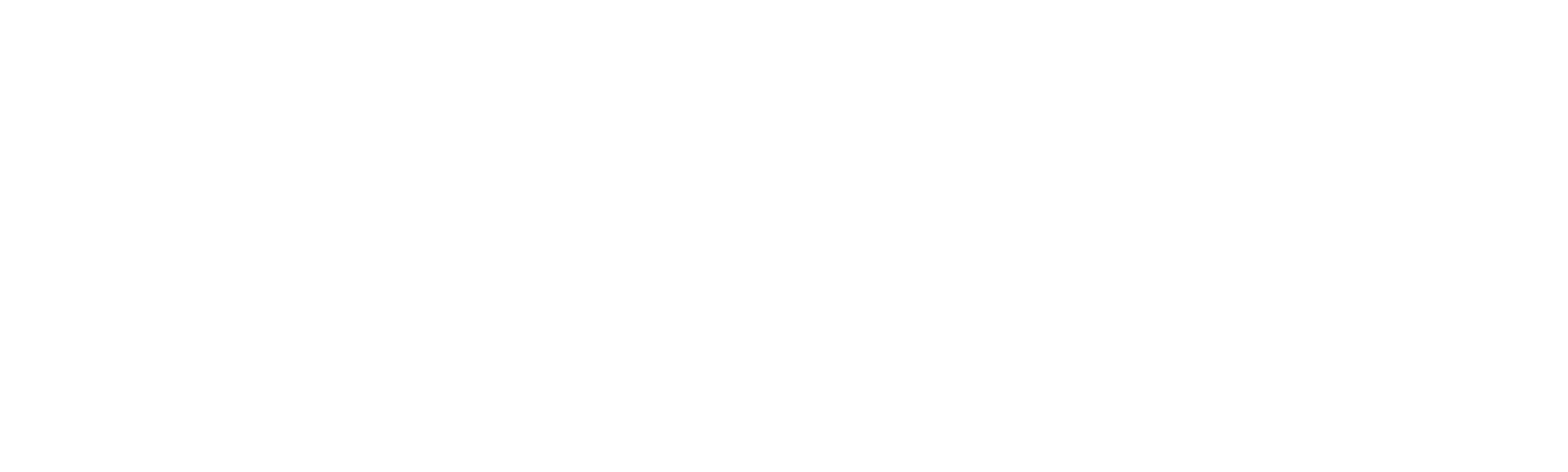 A Sombra do Comandante