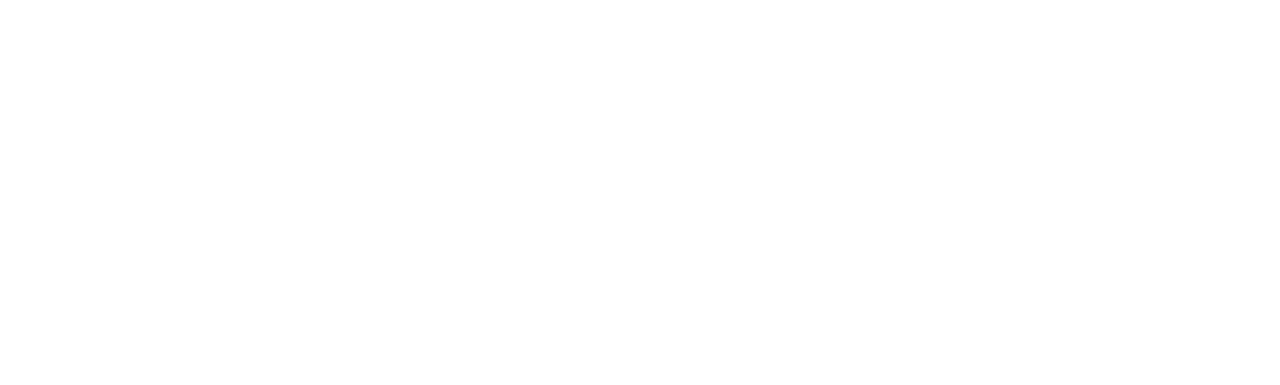 La Sombra del Comandante