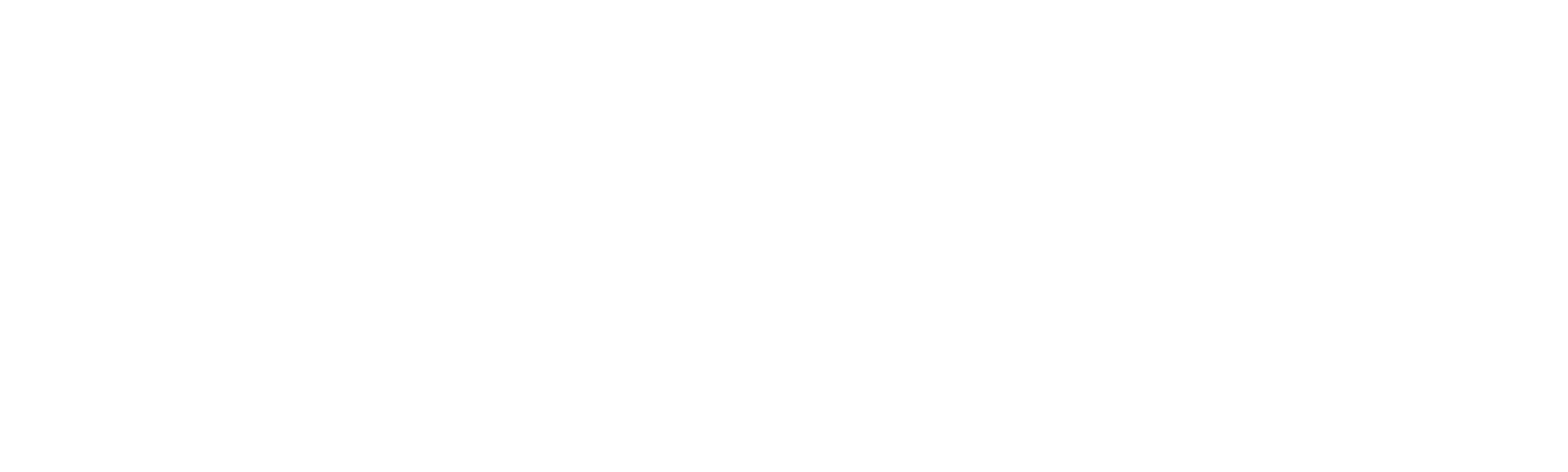 Zapovjednikova sjena