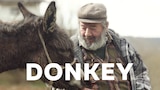 Donkey