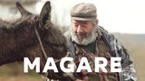 Magare