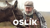 Oslík