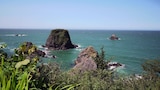 Family Hunts for Beach Paradise in Brookings, Oregon