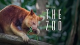 The Zoo