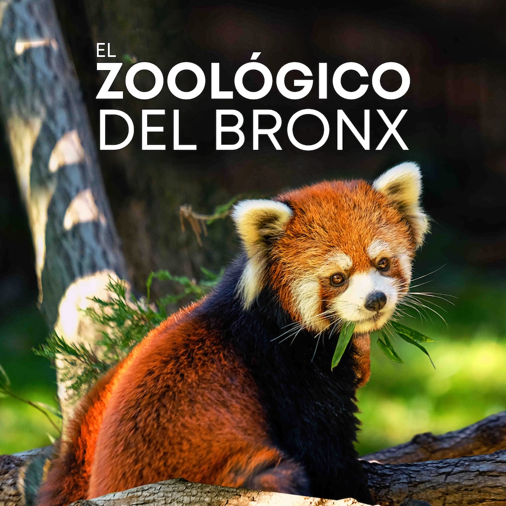 El zoológico del Bronx