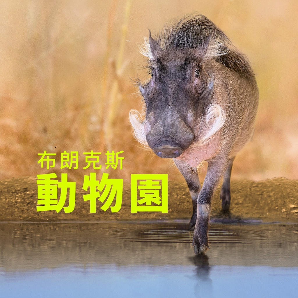 布朗克斯動物園