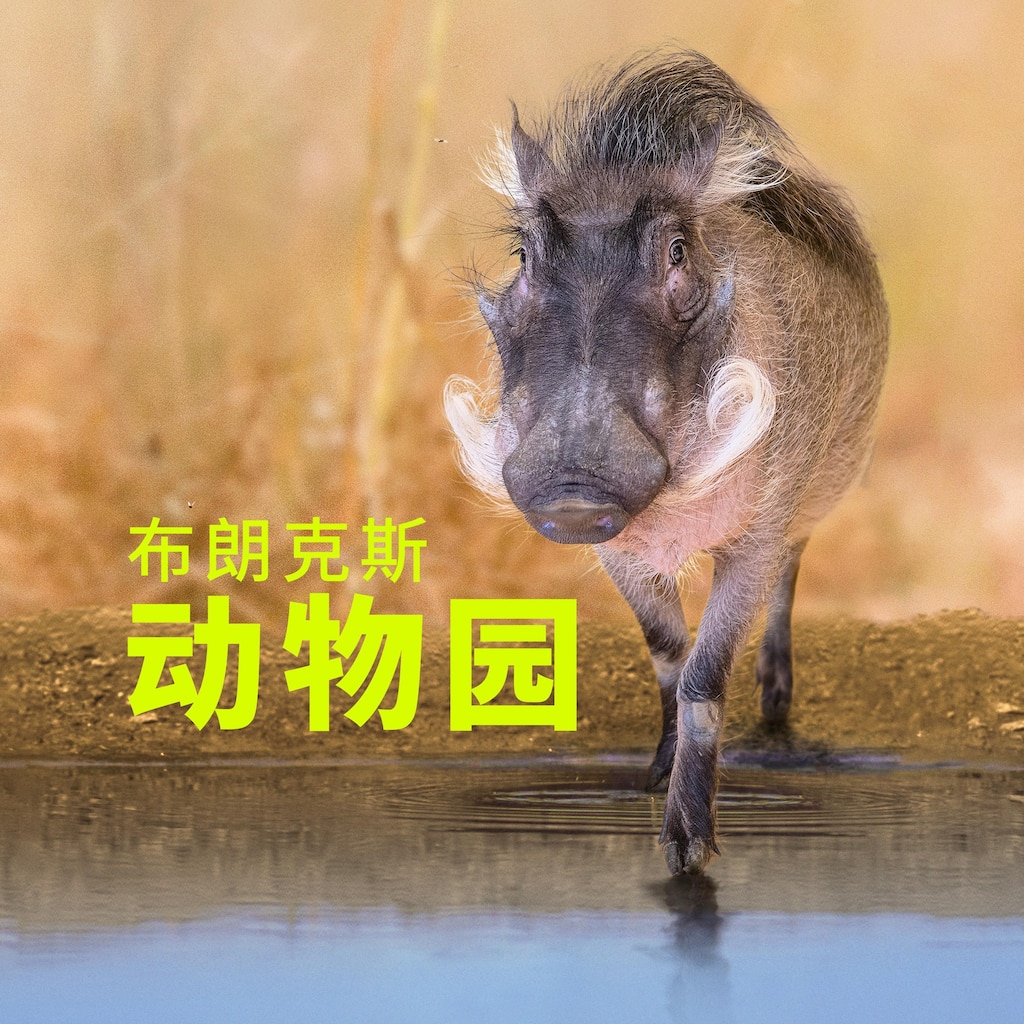 布朗克斯动物园