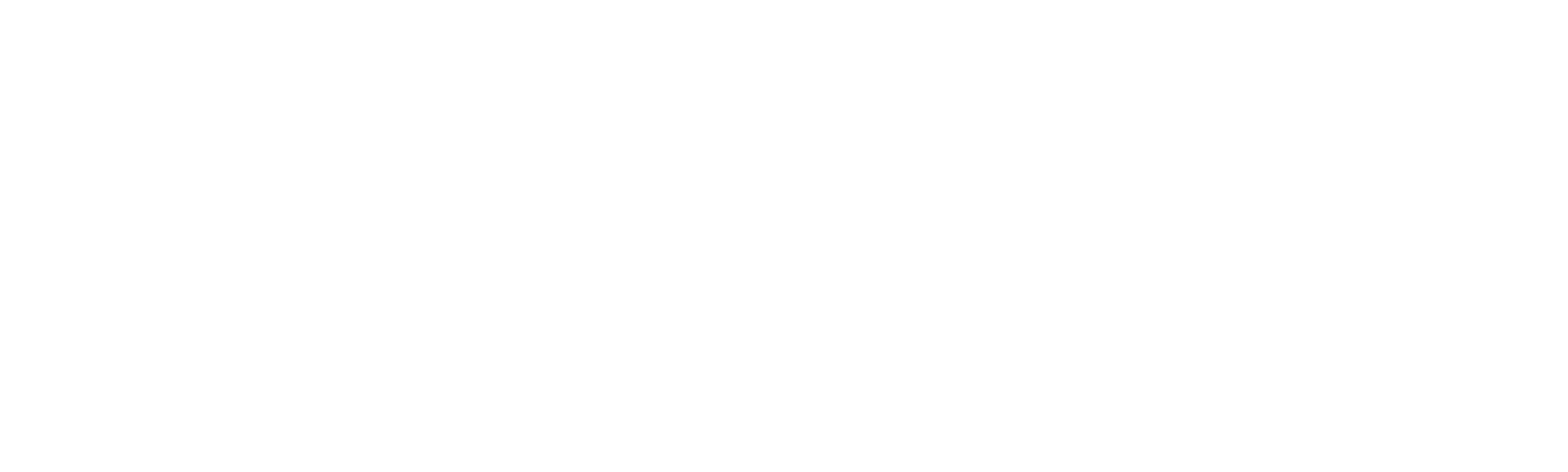 The Zoo