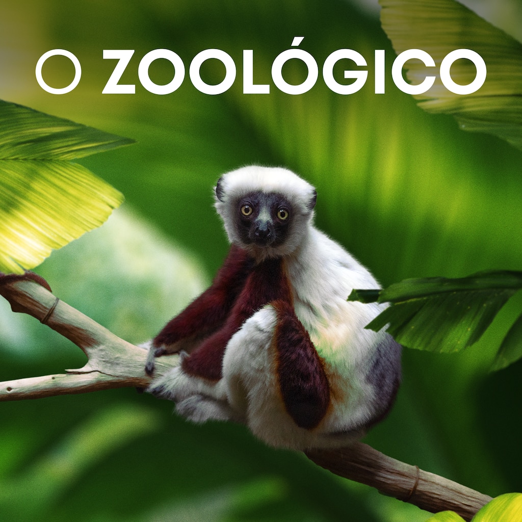 O Zoológico
