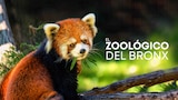 El zoológico del Bronx