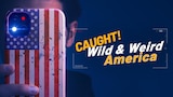 Wild & Weird America