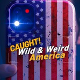 Wild & Weird America