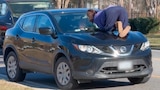The Bumper Sticker Brawl