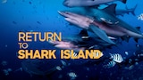 Return to Shark Island