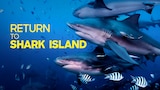 Return To Shark Island