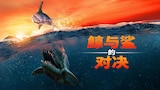 鲸与鲨的对决
