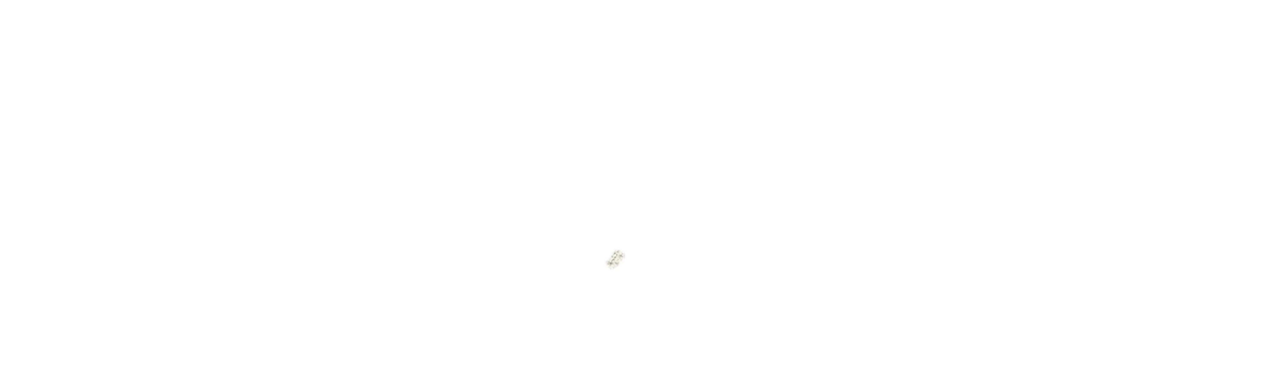 Music Box: Woodstock 99: Peace, Love, and Rage