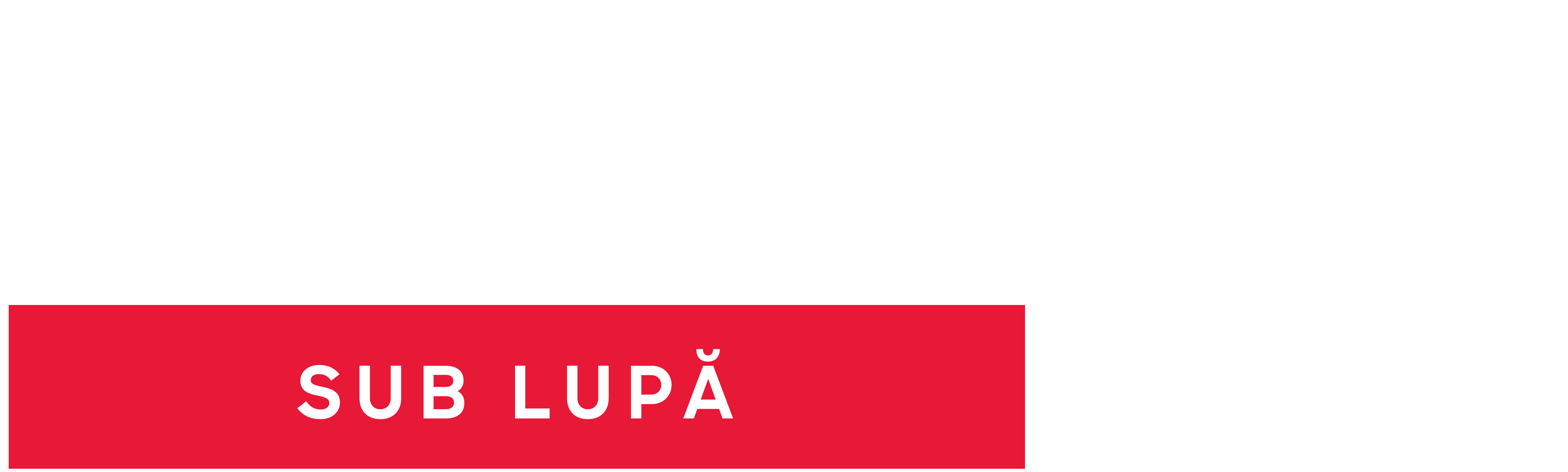 Donald Trump sub lupă