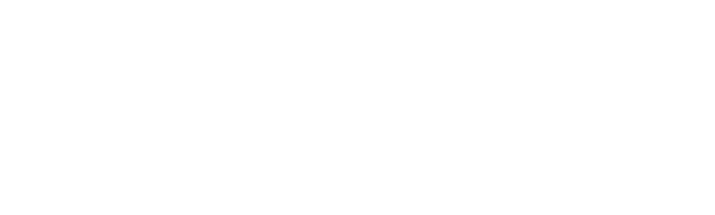 90 de zile până la nuntă: Începutul poveștii