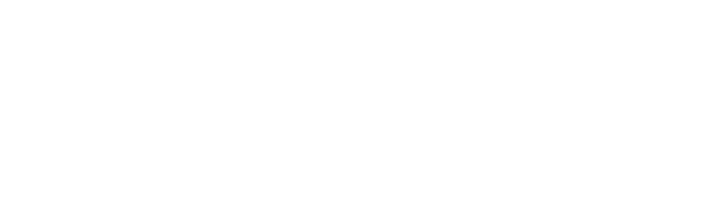 90 dni do poroke: pred usodnimi 90 dnevi