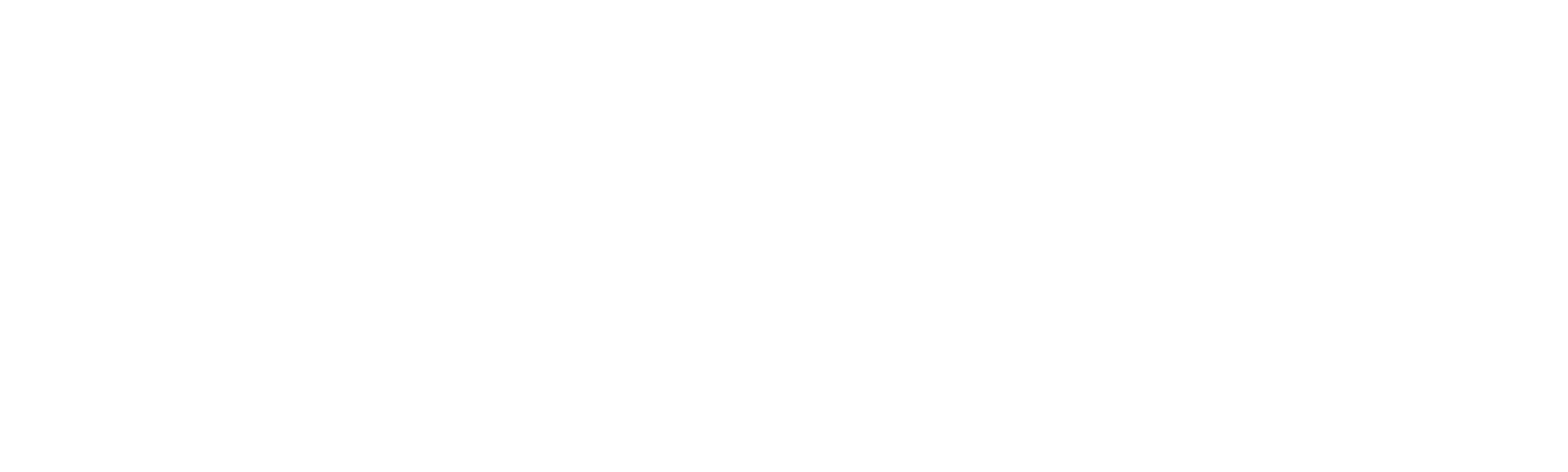 90 dni do poroke: pred usodnimi 90 dnevi