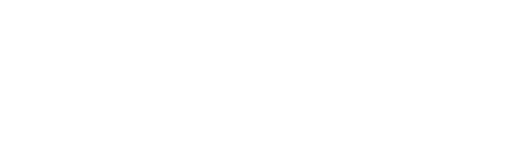 Tsunami: The Aftermath